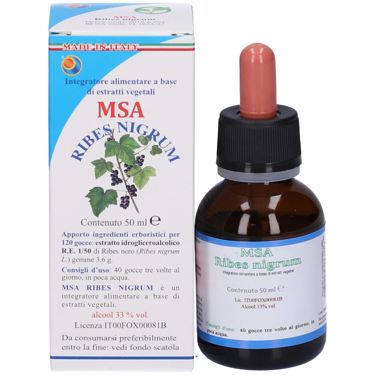 MSA RIBES NIGRUM 50ML